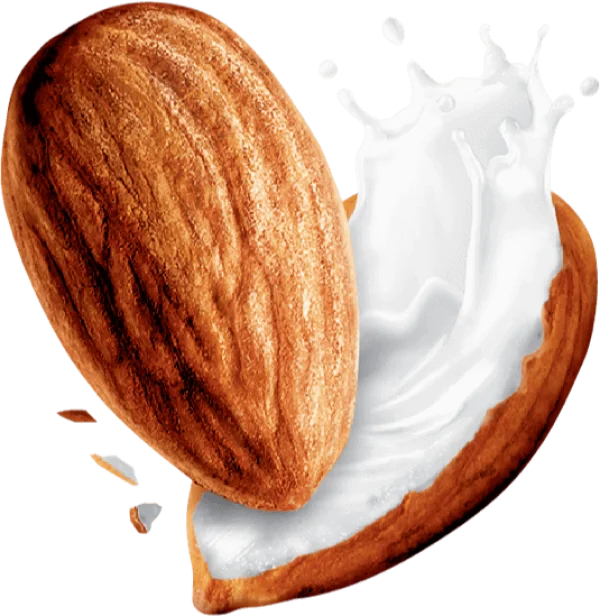 Almond Milk Splash PNG Transparent Background
