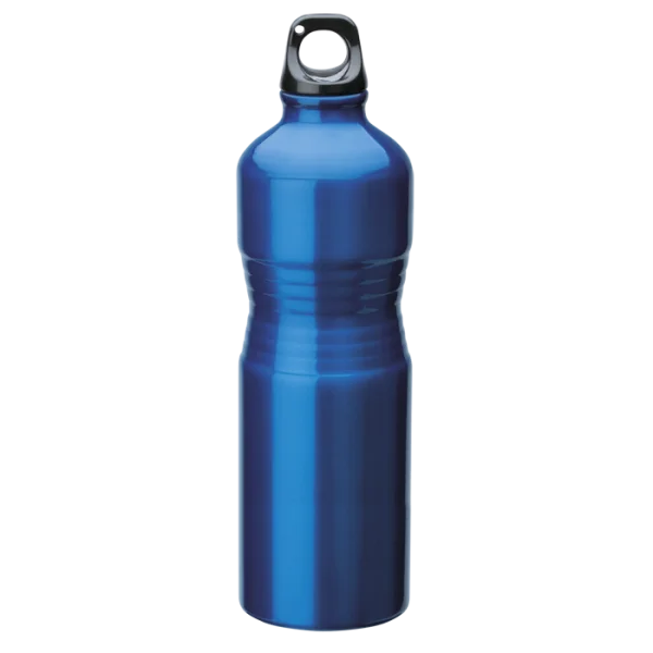 Blue Metal Water Bottle with Carabiner Loop PNG