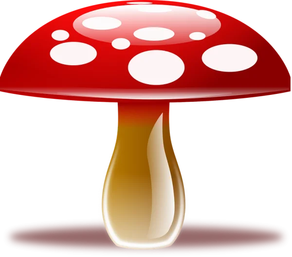 Red Spotted Mushroom PNG Transparent Background