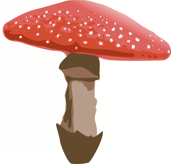 Red Spotted Mushroom Transparent PNG
