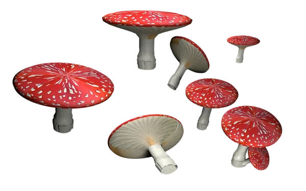 Fly Agaric Mushrooms PNG Transparent Background