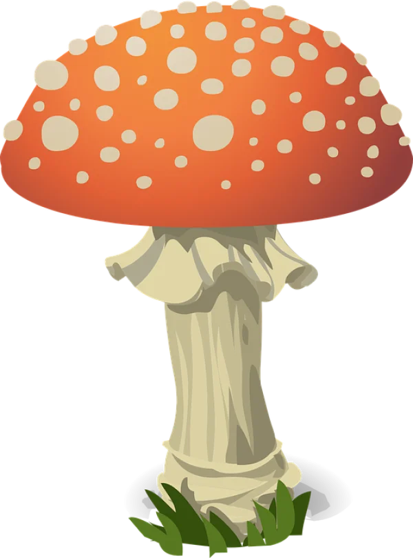 Cartoon Red Mushroom PNG Transparent Background
