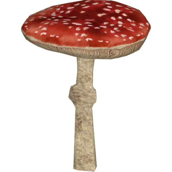 Red Amanita Mushroom PNG Transparent Background