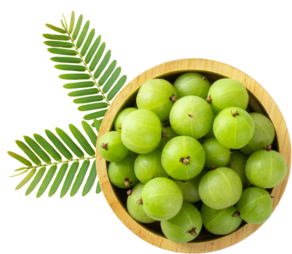 Fresh Amla Fruit in Wooden Bowl with Leaves PNG