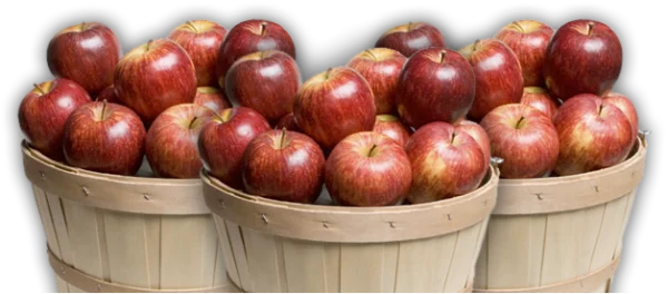 Red Apples in Baskets PNG Transparent Background