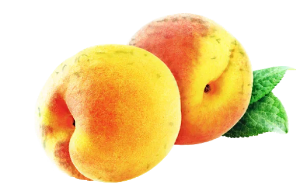 Two Fresh Peaches with Leaves PNG Transparent Background