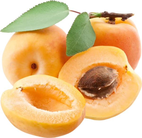 Fresh Apricots with Leaves PNG Transparent Background