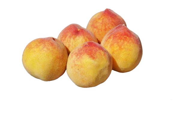 Ripe Peaches Transparent Background PNG