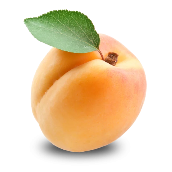 Fresh Apricot with Leaf PNG Transparent Background