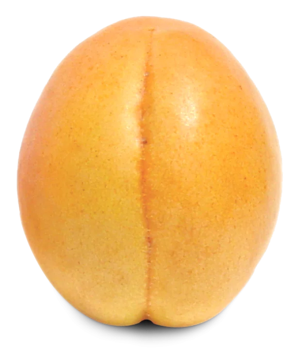 Fresh Apricot Fruit PNG Transparent Background