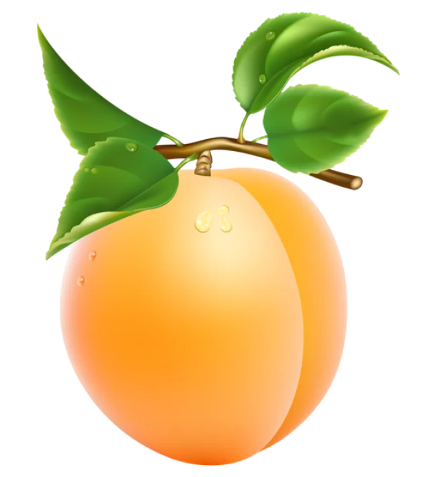 Fresh Peach with Leaves PNG Transparent Background