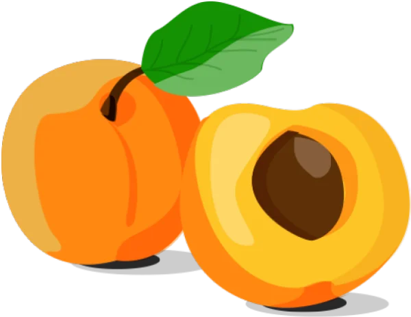 Whole and Cut Apricot PNG Transparent Background