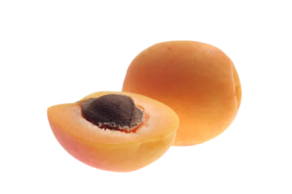 Fresh Apricot Fruit Half and Whole PNG