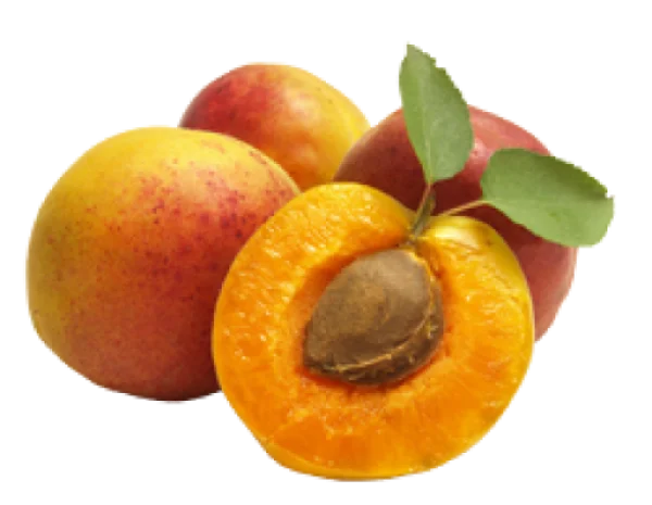 Fresh Apricots with Leaf and Cut Half PNG