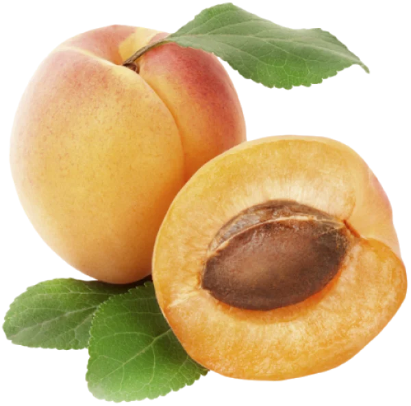 Fresh Apricots with Leaves PNG Transparent Background