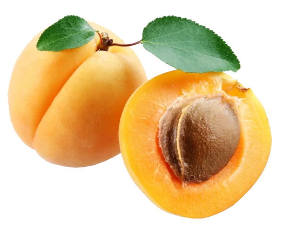 Whole and Halved Apricot with Green Leaf PNG