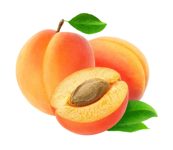 Fresh Apricots with Leaves PNG Transparent Background