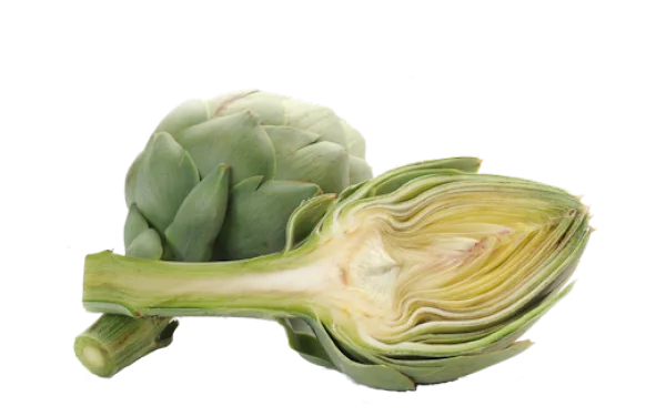 Artichoke Whole and Half Cut PNG Transparent
