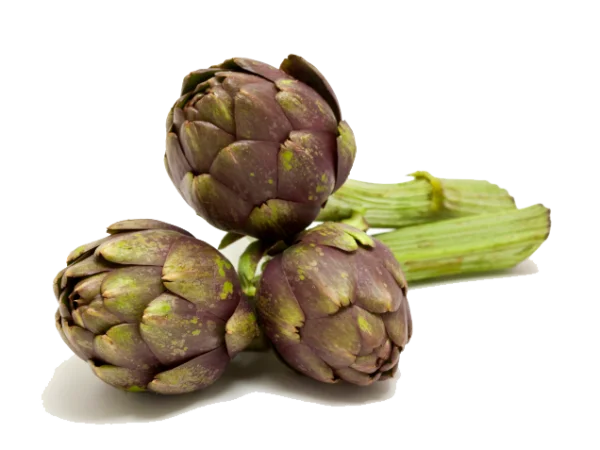 Fresh Purple Green Artichokes PNG Transparent Background