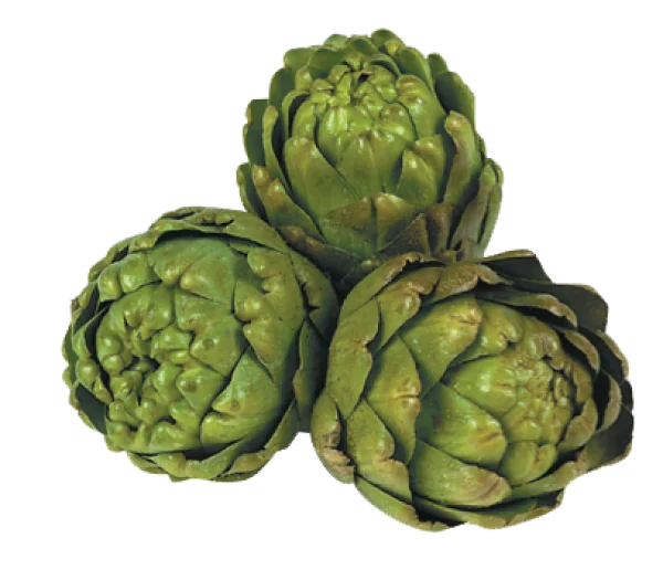 Fresh Artichokes PNG Transparent Background