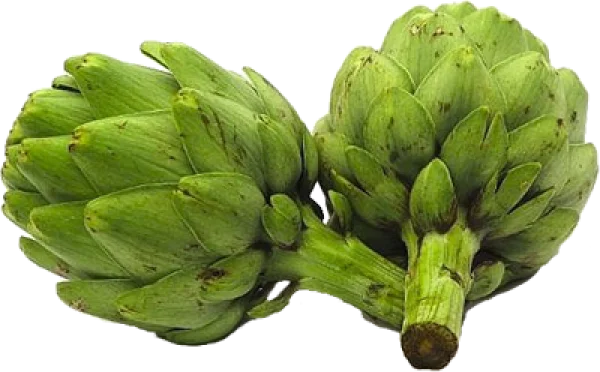 Fresh Green Artichokes PNG Transparent Background