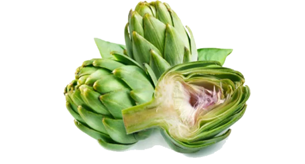Fresh Artichokes Cutout PNG Transparent