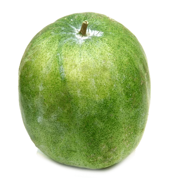 Winter Melon PNG Transparent Background