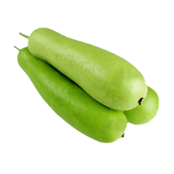 Fresh Bottle Gourd PNG Transparent Background