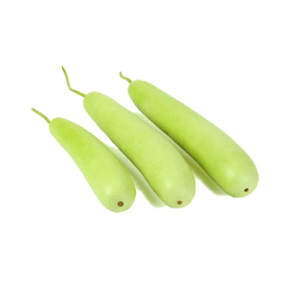 Three Fresh Bottle Gourds PNG Transparent Background