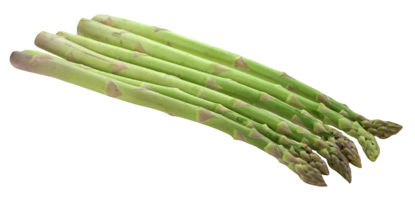 Fresh Asparagus Stalks PNG Transparent