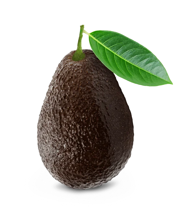 Ripe Avocado with Green Leaf PNG Transparent Background
