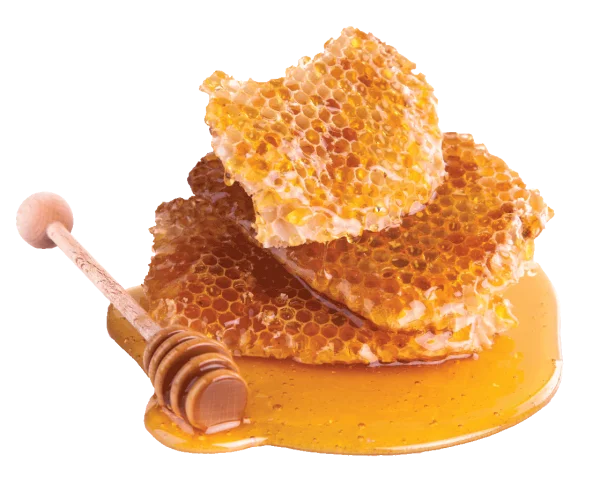 Natural Honeycomb and Dipper PNG Transparent
