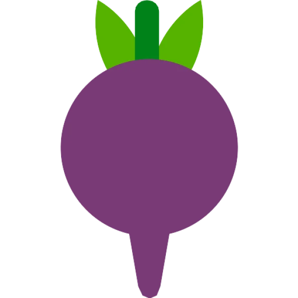 Stylized Purple Radish PNG Transparent Background