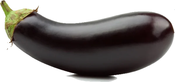 Fresh Eggplant PNG Transparent Background