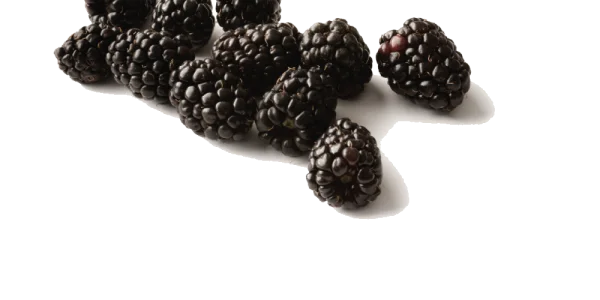 Fresh Blackberries PNG Transparent Background