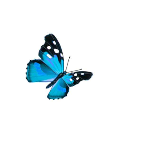 Vibrant Blue Butterfly PNG Transparent Background
