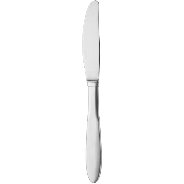 Stainless Steel Butter Spreader PNG Transparent