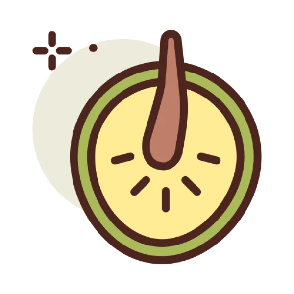 Hair Follicle with Shine Icon PNG Transparent Background