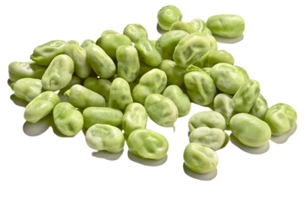 Fresh Broad Beans PNG Transparent Background