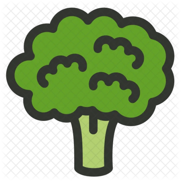 Broccoli Vegetable Icon PNG Transparent