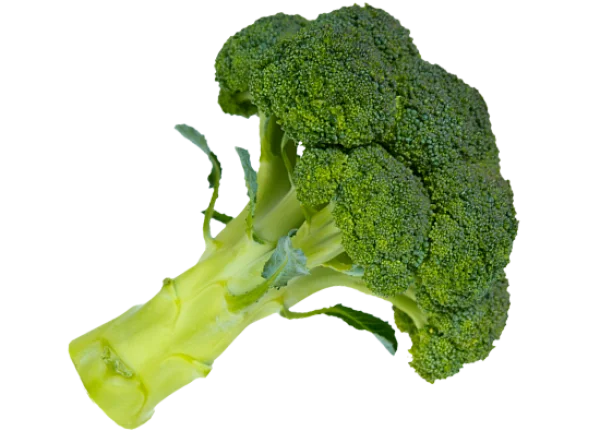 Fresh Broccoli Head PNG Transparent Background