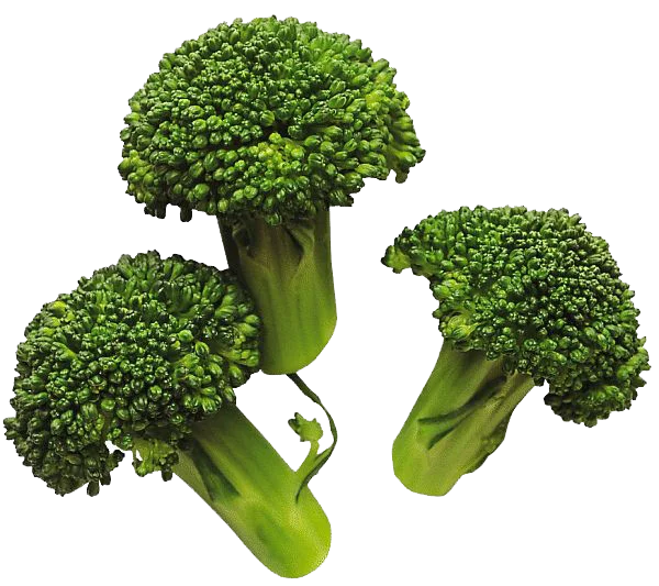 Fresh Green Broccoli Florets PNG Transparent