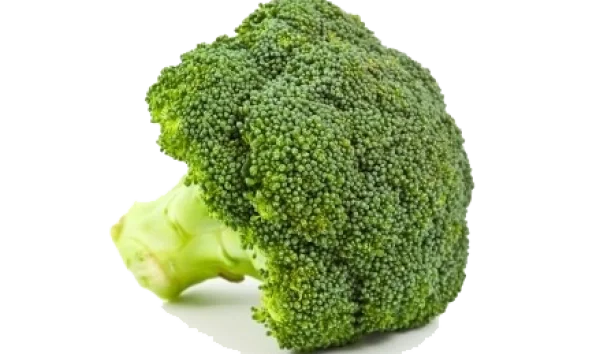 Fresh Broccoli Head PNG Transparent Background