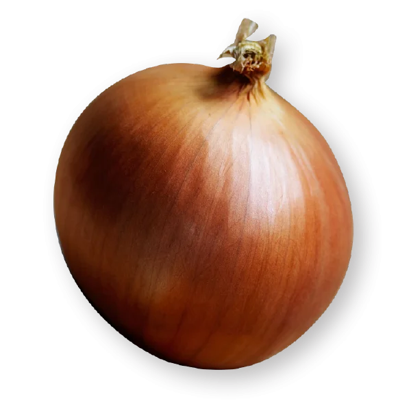 Whole Brown Onion PNG Transparent Background