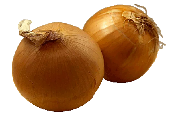 Two Brown Onions PNG Transparent Background