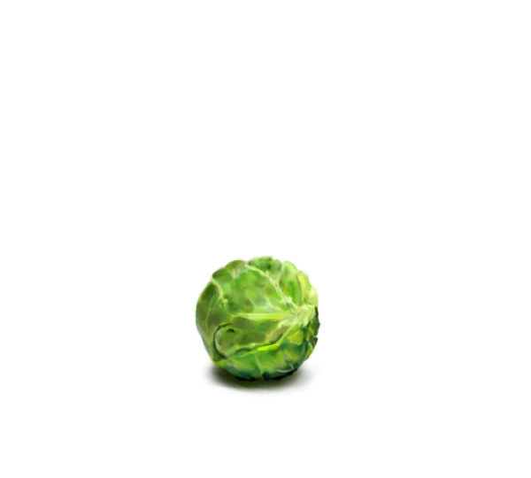 Green Cabbage Head PNG Transparent Background