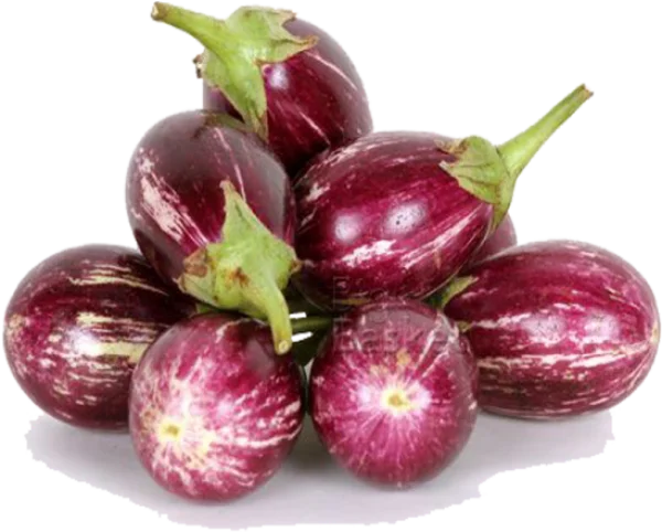 Small Indian Eggplant PNG Transparent Background