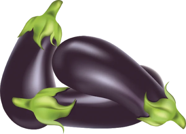 Shiny Purple Eggplants PNG Transparent Background