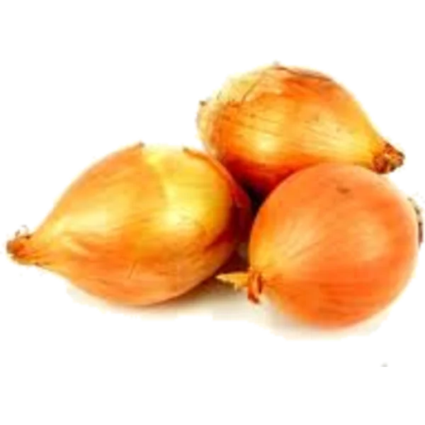 Three Brown Onions PNG Transparent Background