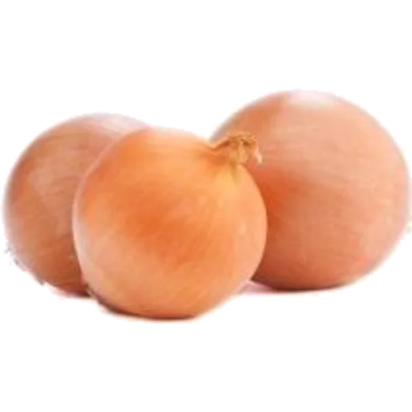 Brown Onions PNG Transparent Background